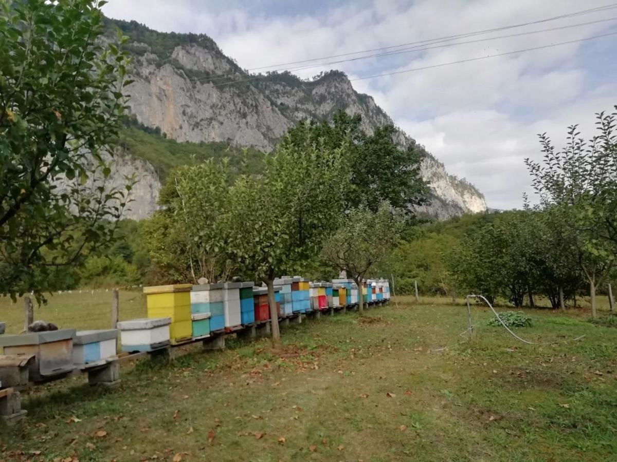 Лоджи Guesthouse Rovcanin Мойковац-18
