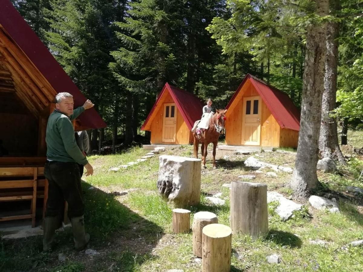 Лоджи Guesthouse Rovcanin Мойковац