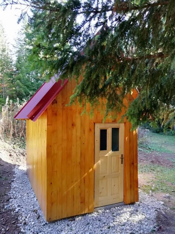 Лоджи Guesthouse Rovcanin Мойковац-25