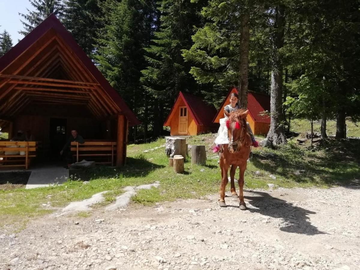 Лоджи Guesthouse Rovcanin Мойковац-28