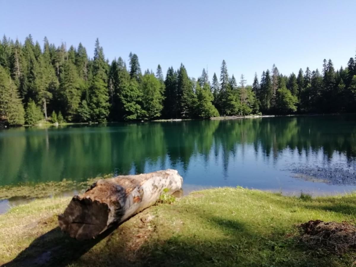 Лоджи Guesthouse Rovcanin Мойковац