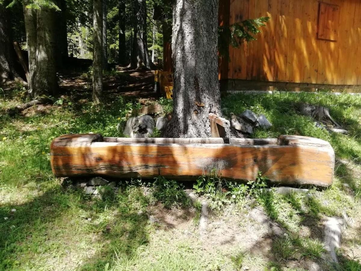 Лоджи Guesthouse Rovcanin Мойковац-9