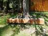 Лоджи Guesthouse Rovcanin Мойковац-5