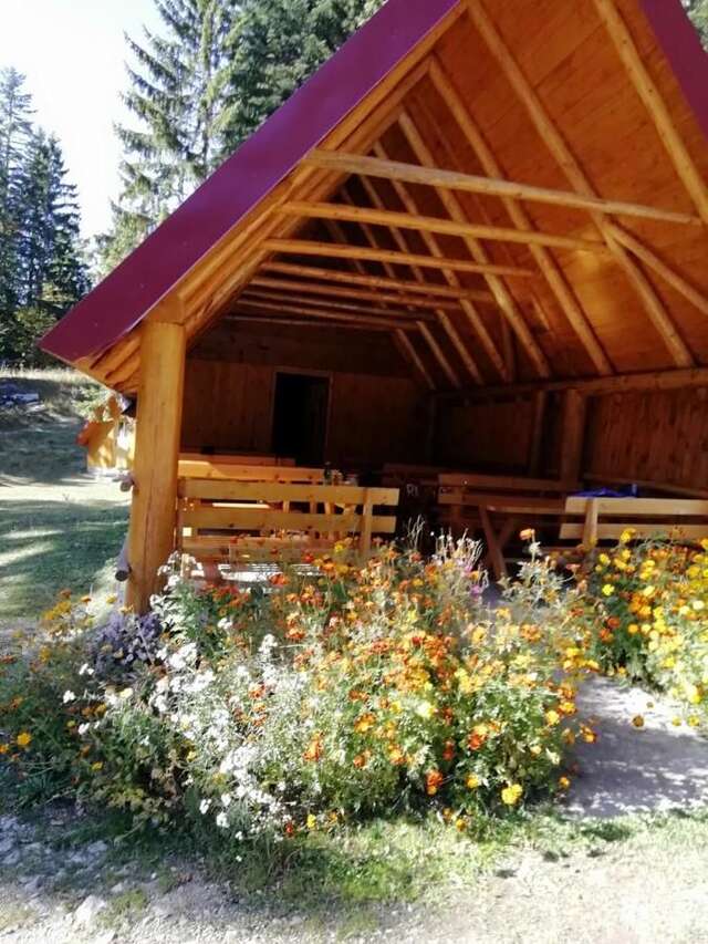 Лоджи Guesthouse Rovcanin Мойковац-15