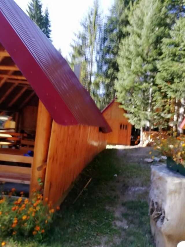 Лоджи Guesthouse Rovcanin Мойковац-18