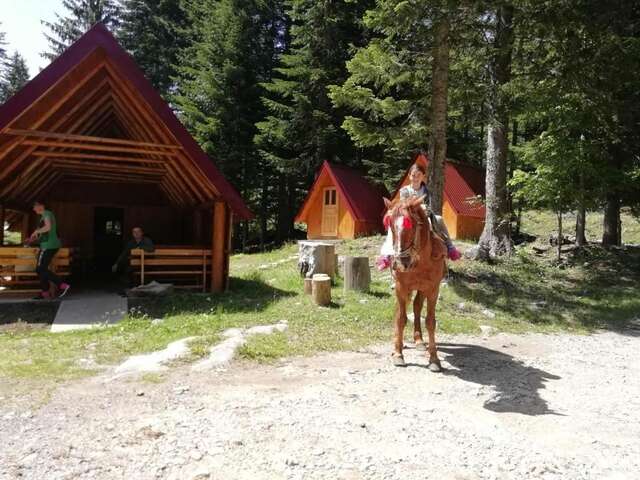 Лоджи Guesthouse Rovcanin Мойковац-32