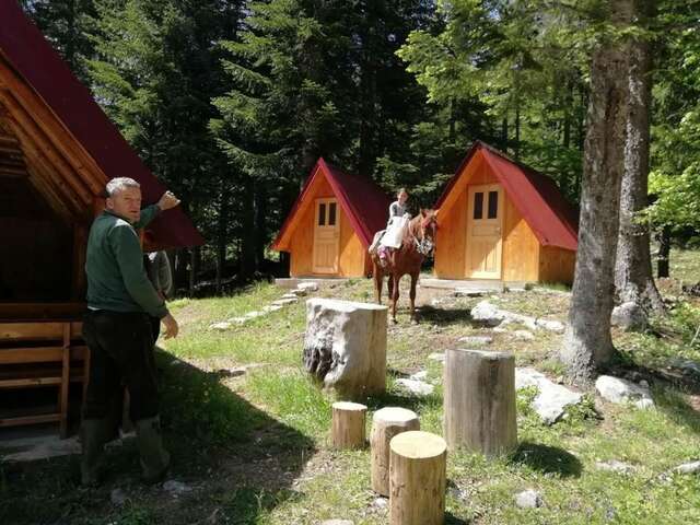 Лоджи Guesthouse Rovcanin Мойковац-40