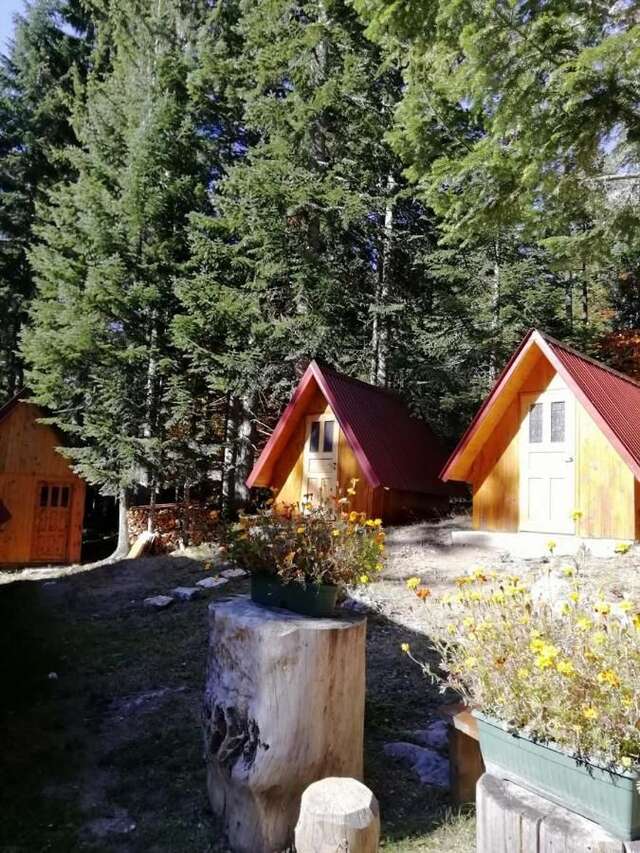 Лоджи Guesthouse Rovcanin Мойковац-10